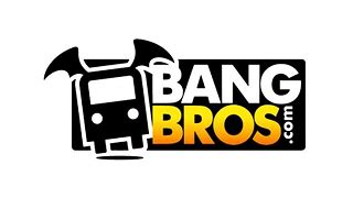 bangbros mobile|Bang Bros Site Channels 